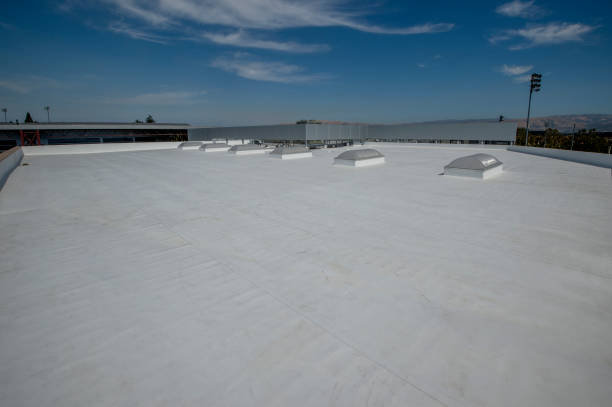 Best Roof Coating and Sealing  in Rocky Mount, VA